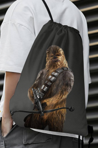 starwarsbackpacks