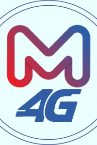 mobi4ginfo