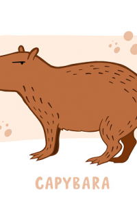 thecapybaraxyz