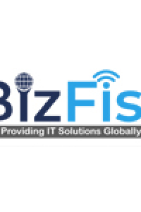 bizfistitsolutions