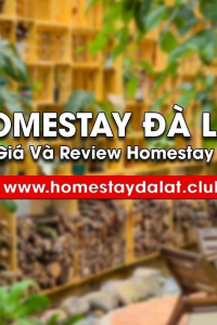 homestaydalatclub