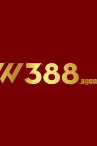 w388agency