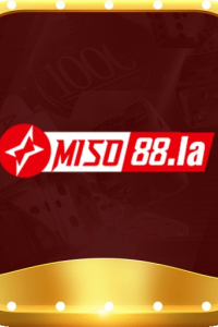 miso88la