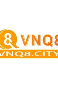 vnq8city