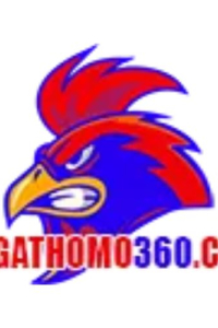 dagathomo360sv388