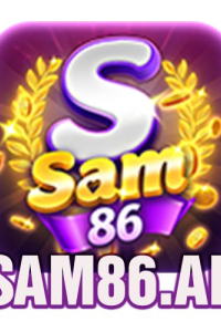 sam86ai