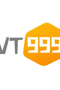 vt999fit
