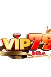 vip79bike