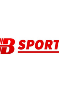 bsportdev