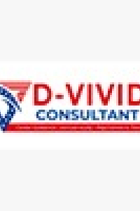 dvividconsultant