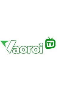 Vaoroitv24