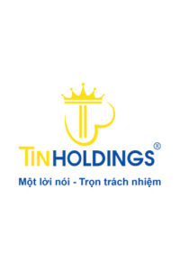 tinholdings