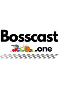 bosscastone