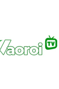 vaoroitv2024