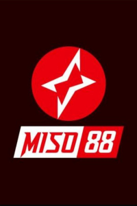 miso88today