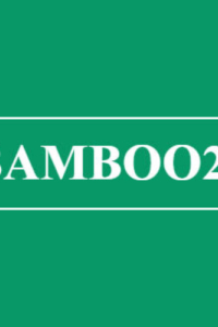 bamboo21vncom