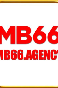 mb66agency
