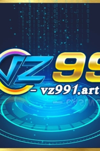 vz991art