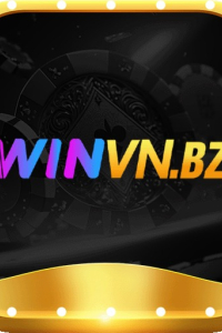 winvnbz