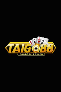 taigo88review