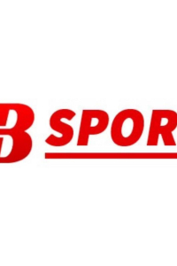 bsportsvc