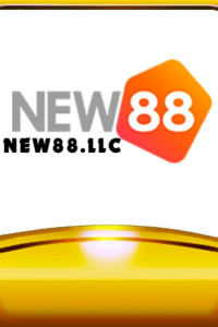 new88llc