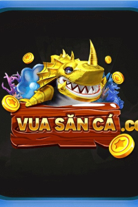 vuasancaco