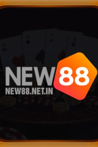 new88netin