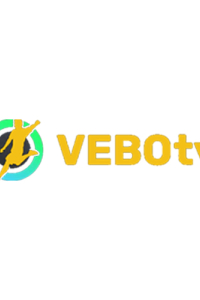 vebottbdxyz