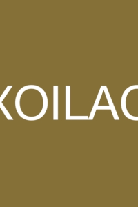 xoilactvvsite