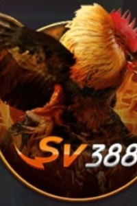 sv388page