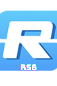 rs8biz