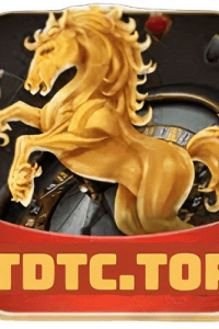 tdtc03d