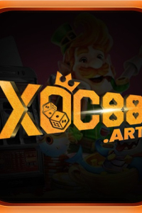 xoc88art