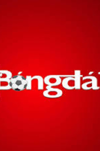 bongda2024net