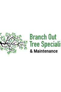 branchouttree
