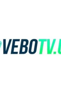 vebotvwin1