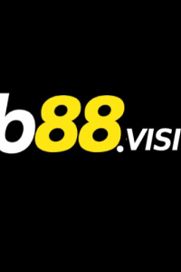 fb88vision