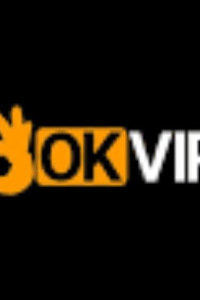 okvipvision