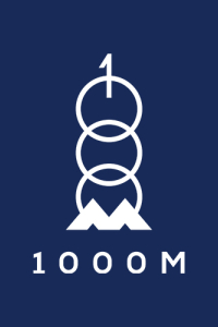 vn1000m