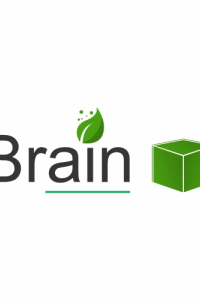 BrainBox