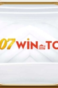 wintop007