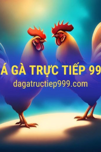 dagatructiep999