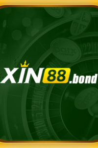 xin88bond