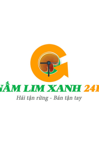 namlimxanh24hcom