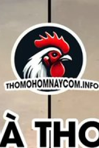 thomohomnaycom