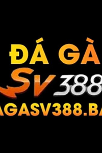 dagasv388bar