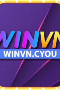 winvncyou