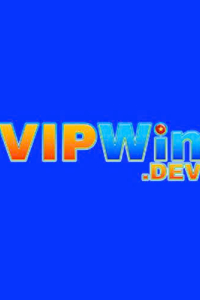 vipwindev