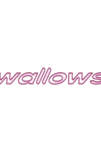 wallowsshop